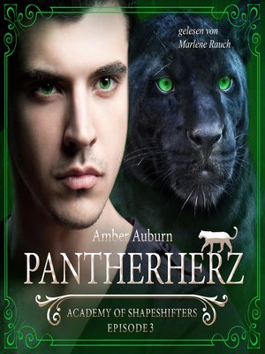 cover image of Pantherherz, Episode 3--Fantasy-Serie